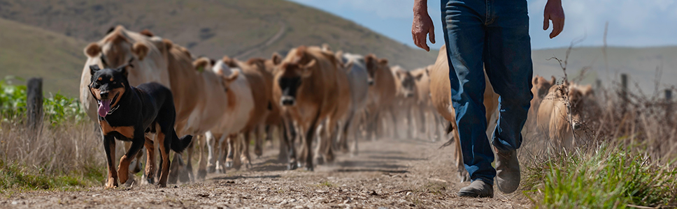 Zu Ihrer Information: